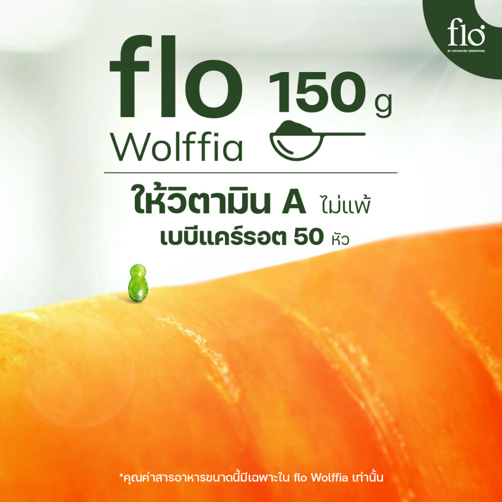 flo Wolffia: The Super Food