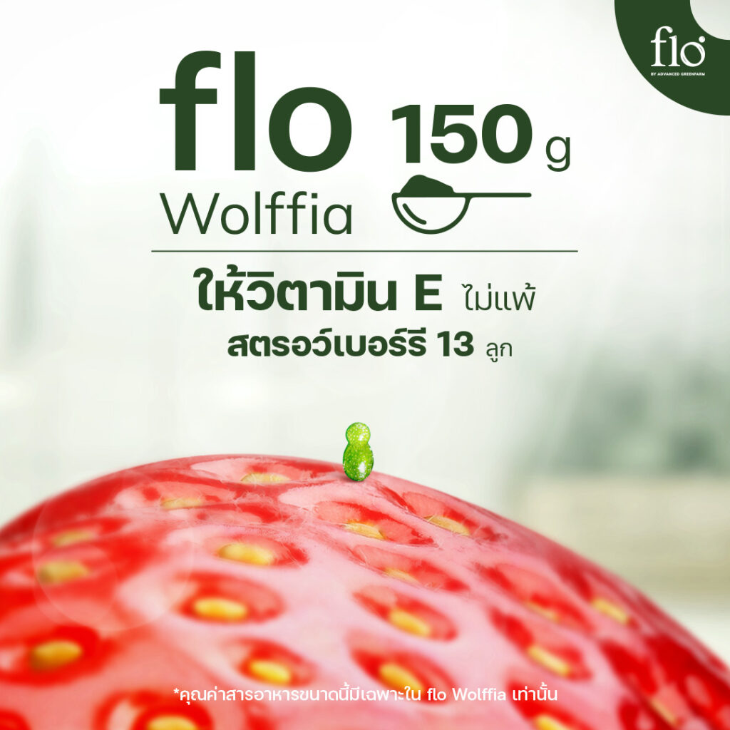 flo Wolffia: The Super Food